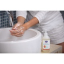 Hand Soap 250Ml 1-147