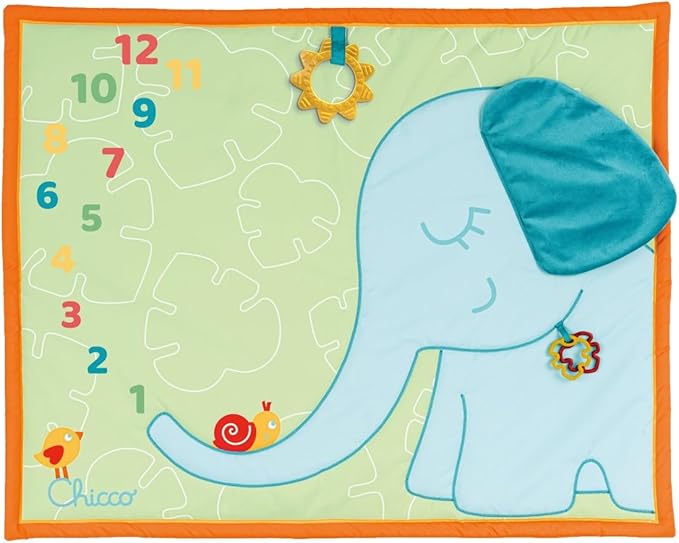 TOY ECO+ MILESTONE PLAYMAT 1-776 
