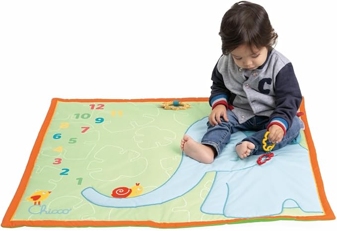 TOY ECO+ MILESTONE PLAYMAT 1-776 