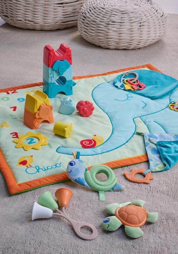 TOY ECO+ MILESTONE PLAYMAT 1-776 