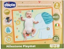 TOY ECO+ MILESTONE PLAYMAT 1-776 