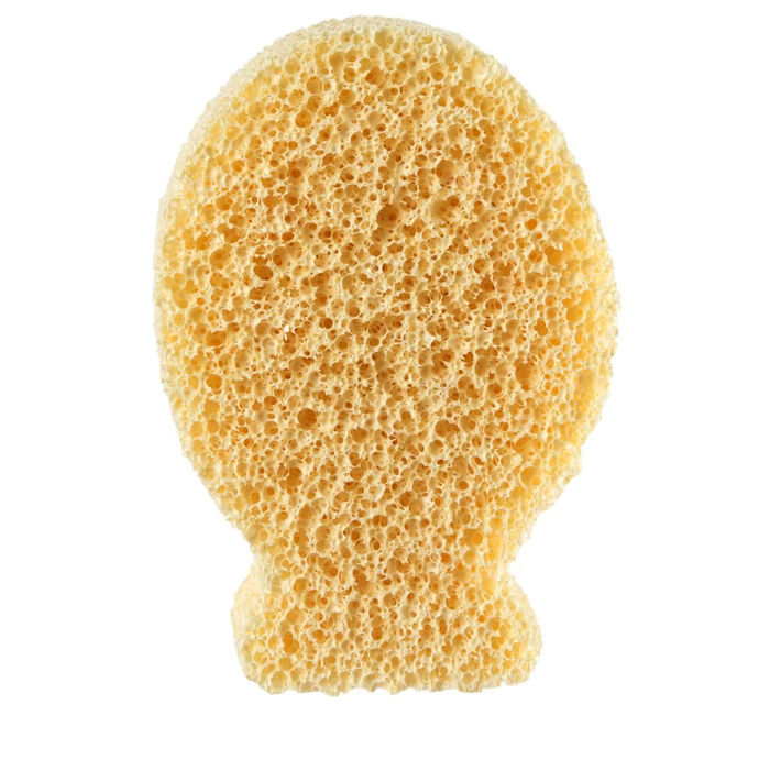 Sponge Fish Silver Ion 1-169