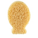 Sponge Fish Silver Ion 1-169