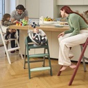 Home High Chair (Crescendo up) Black