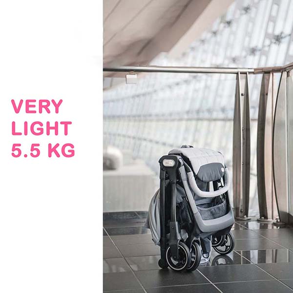 Stroller Chicco We Grey  2-26  