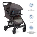 MUZE LX TS Dark Pewter