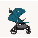 Litetrax pro  Peacock