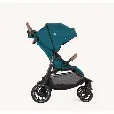 Litetrax pro  Peacock